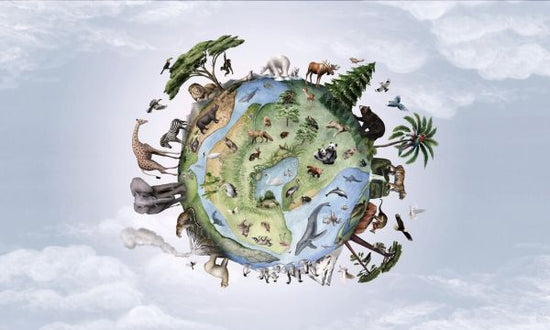 PHOTOWALL / Animals of Earth (e84067)