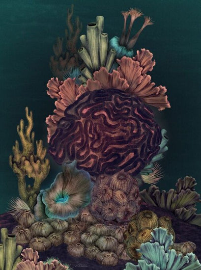 PHOTOWALL / Aquarium (e84082)