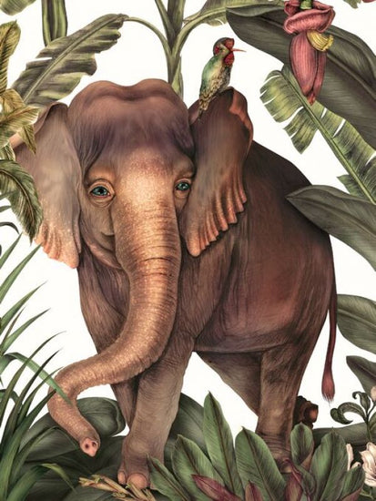 PHOTOWALL / Blue-Eyed Elephant (e84087)