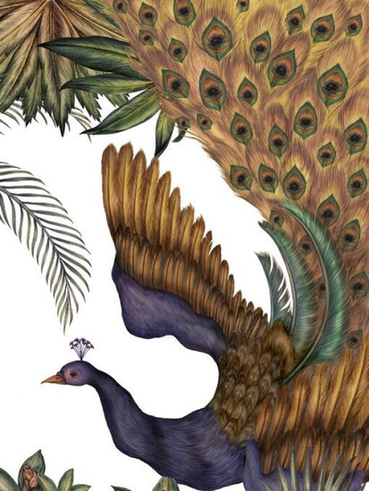 PHOTOWALL / Elegant Peacock (e84089)