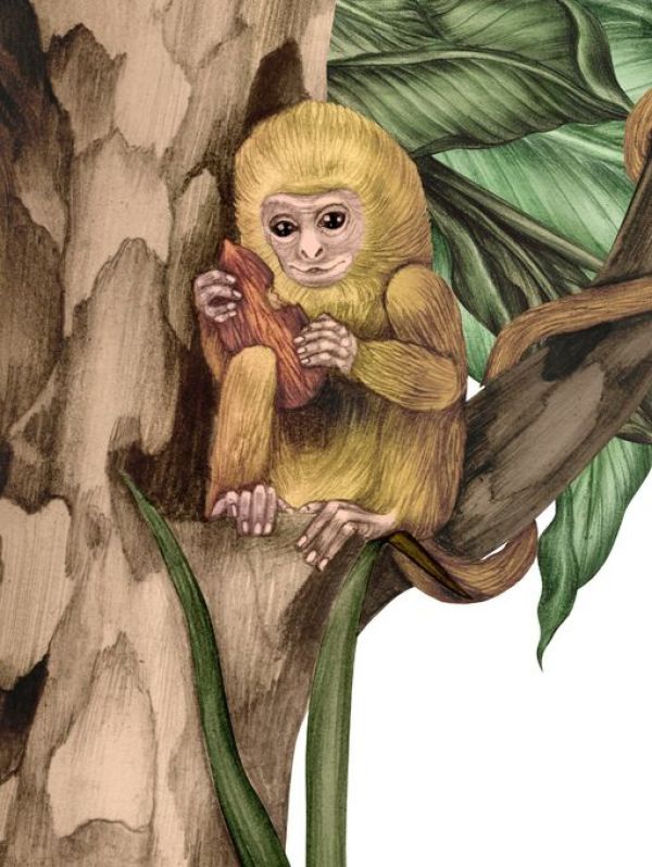 PHOTOWALL / Monkey with Treasure (e84094) | 輸入壁紙専門店