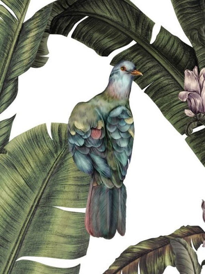 PHOTOWALL / Pigeon in Leaves (e84104)