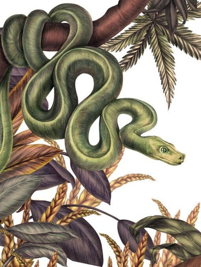 PHOTOWALL / Snake (e84105)