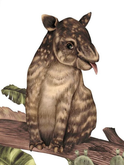 PHOTOWALL / Tapir (e84106)