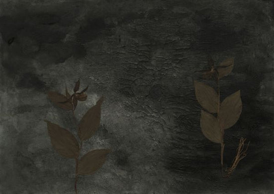 PHOTOWALL / Lady Slippers II (e84412)
