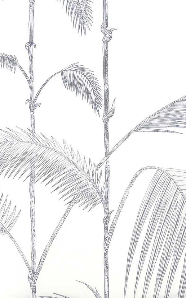Cole&Son / CONTEMPORARY RESTYLED / Palm Leaves 95/1008