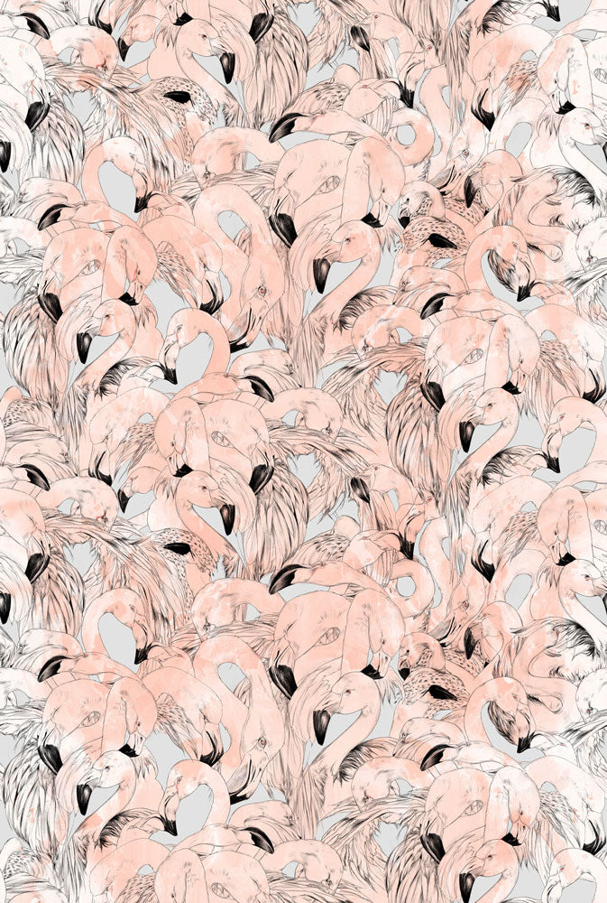 17 Patterns / Flamingo Peach A08-FM-03W