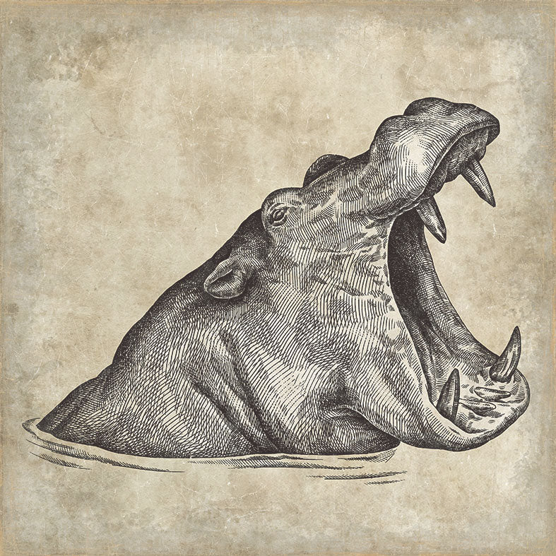 【WALL ART】 ALFONZ / 8/8 SAVANE ALF00566DC (Hippopotamus)