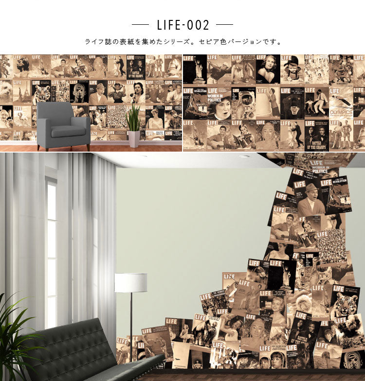 【限定数】1 Wall / Creative Collage LIFE FRONT CREATIVE COLLAGE