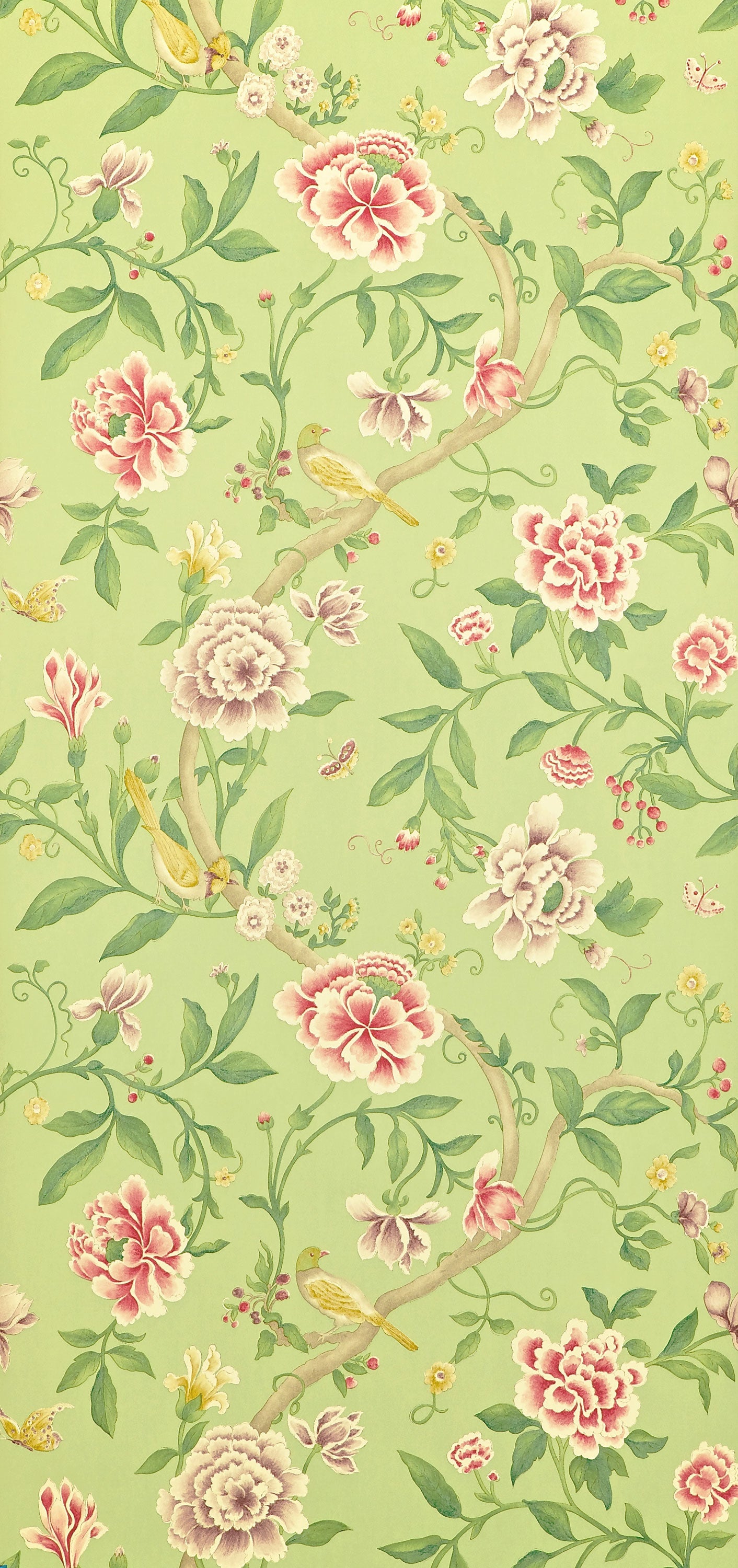 Sanderson / ONE SIXTY WALLPAPER COLLECTION / Porcelain