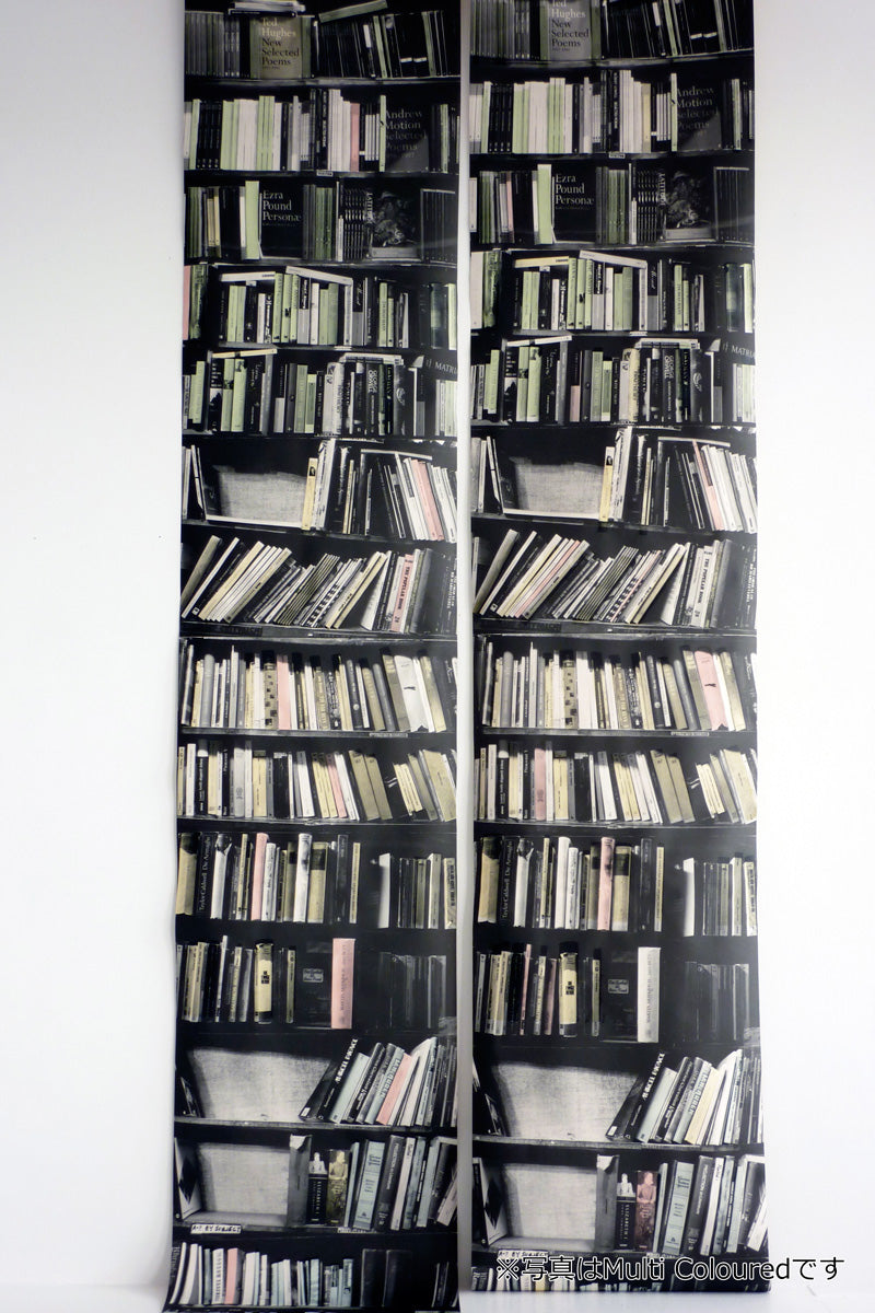 Deborah Bowness The Artist Collection / Genuine Fake Bookshelf - Multi-coloured