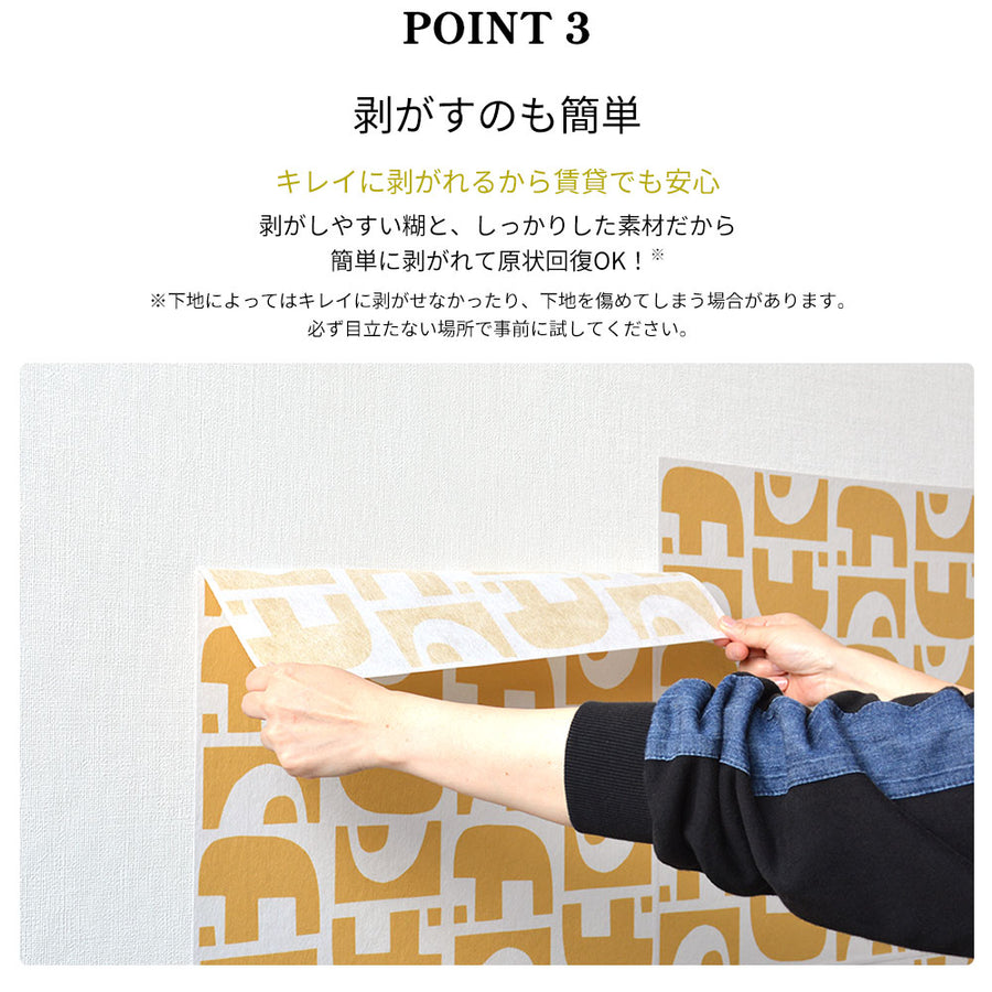 はがせる 壁紙 【Hattan Pattern】Black Pepper Paperie / GROUND HBPP4-05(6枚セット)