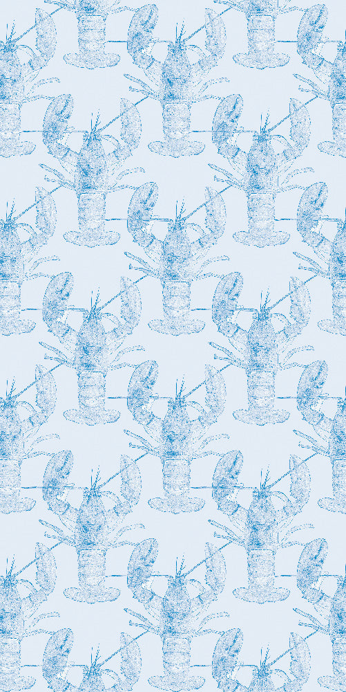 Malz & Malz Interieur / Lobster/Sky Blue