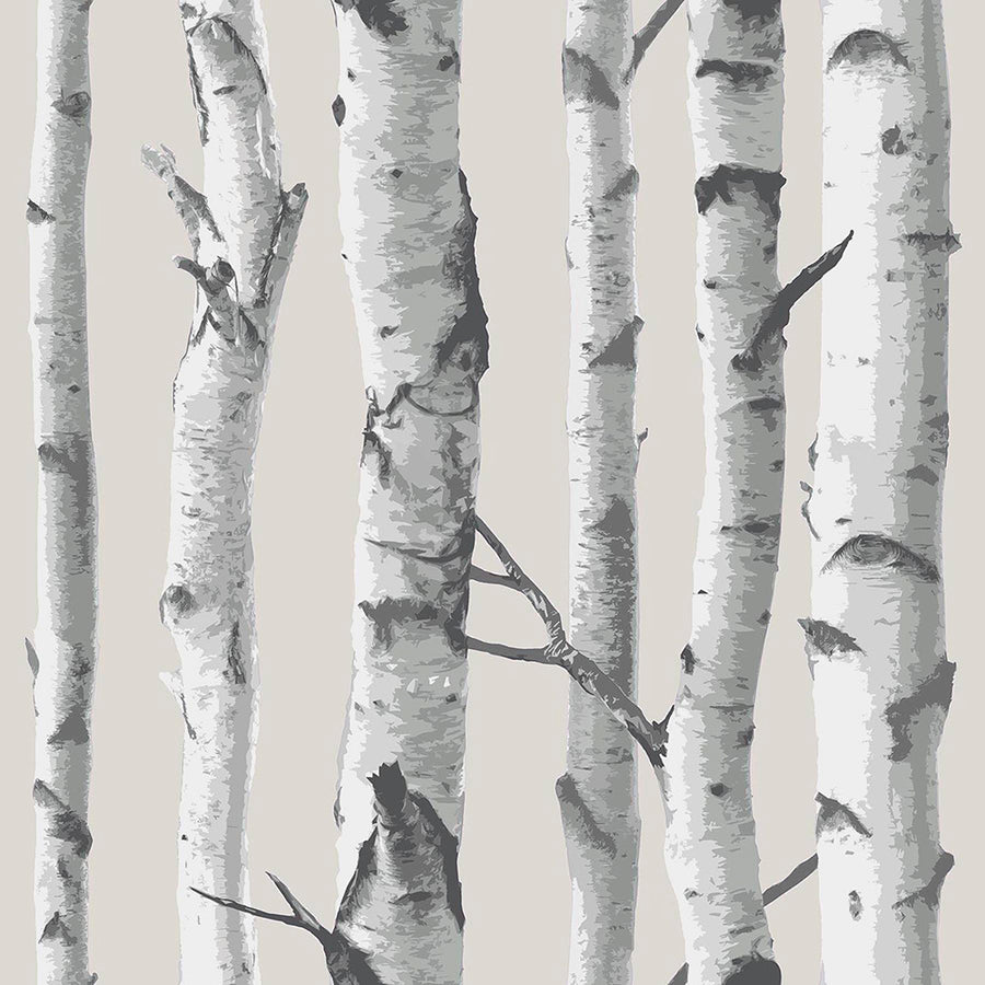 はがせる シール 壁紙 NU WALLPAPER / Birch Tree Peel And Stick Wallpaper / NU1650(NU3128)