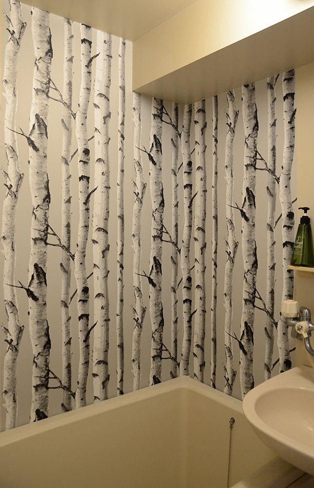 【予約受付】はがせる シール 壁紙 NU WALLPAPER / Birch Tree Peel And Stick Wallpaper / NU1650(NU3128)