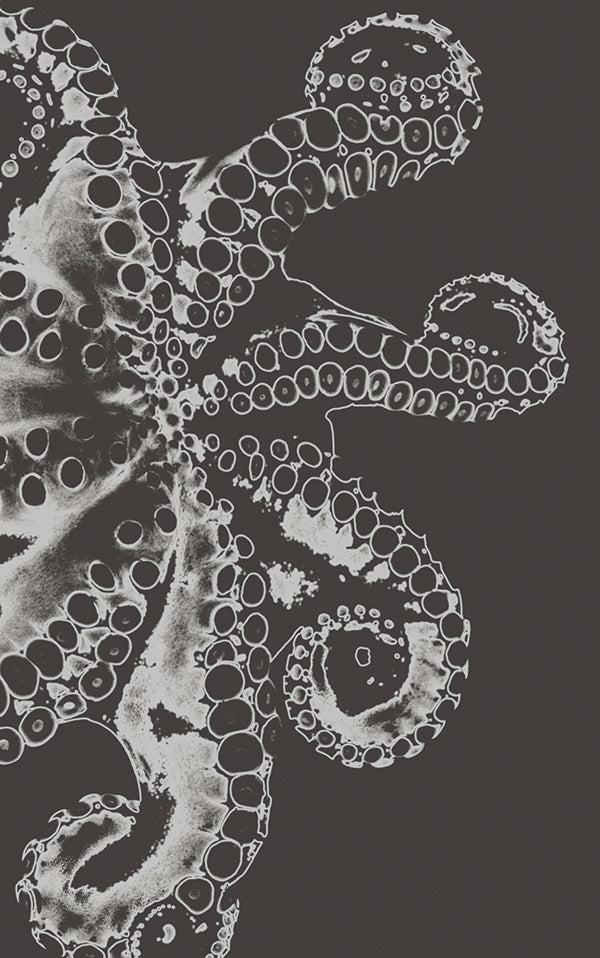 Malz & Malz Interieur / Octopus/Antracite