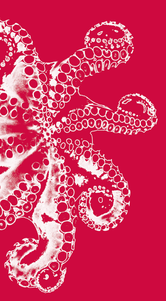 Malz & Malz Interieur / Octopus/Rosso