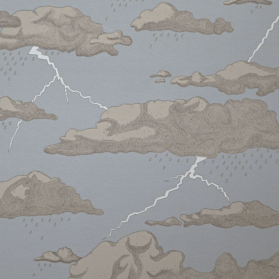 Abigail Edwards / Storm Clouds Blue Sky