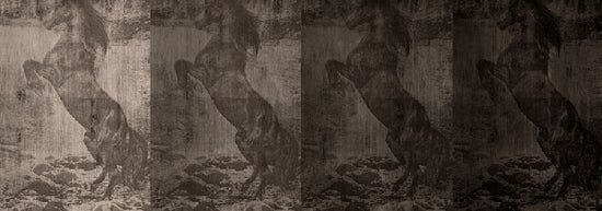 Wall&deco / Life 13 El caballo de Andy / WDEC1302