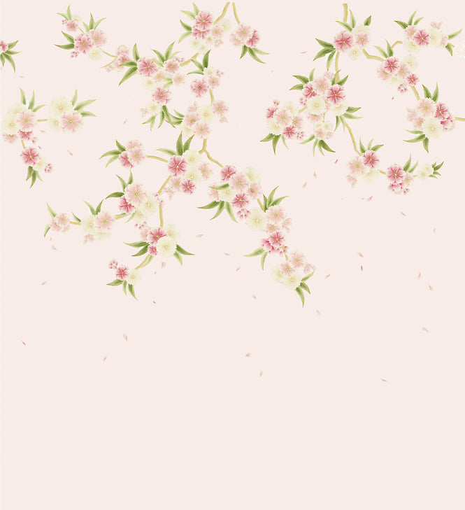HARLEQUIN / DIANE HILL WALLPAPERS / Rosa 112887
