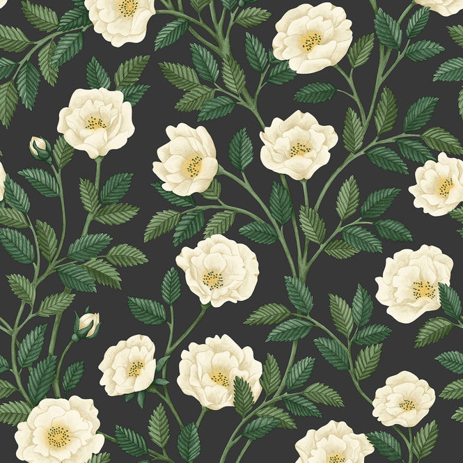 Cole&son / HISTORIC ROYAL PALACES GREAT MASTERS 118/7016