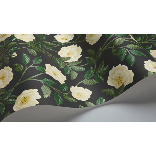 Cole&son / HISTORIC ROYAL PALACES GREAT MASTERS 118/7016