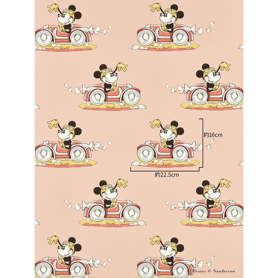 Sanderson / Disney Home X Sanderson Wallpapers / MINNIE ON THE MOVE / Candy Floss 217268