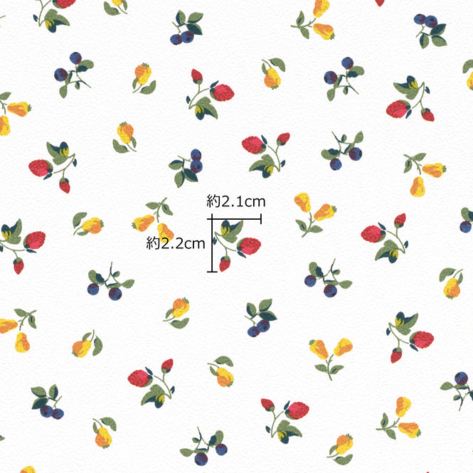 Emil & Hugo / FRUITS 288239 (PETITE FLEUR 5)