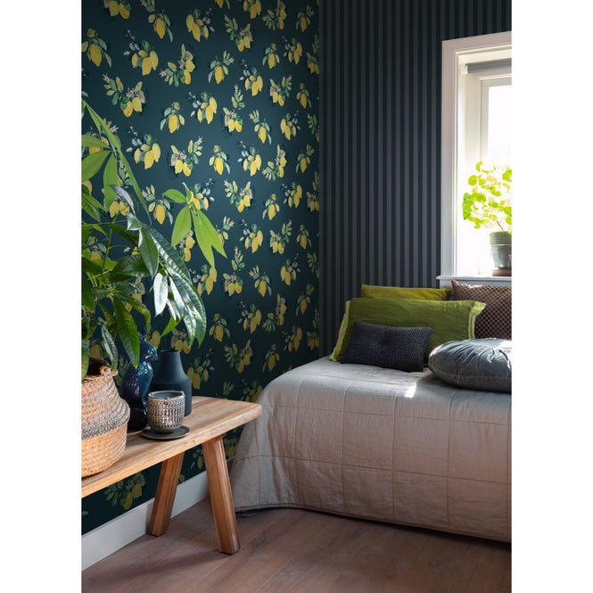 色違いの商品です