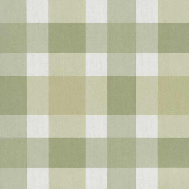 【A4サンプル】CRISTIANA MASI / Top Stripes 38425