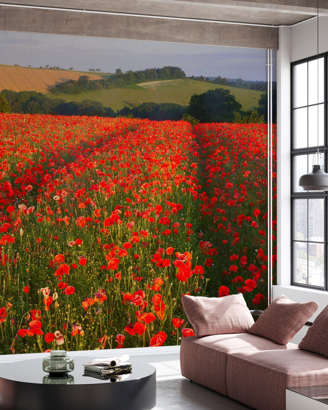 PHOTOWALL / Scarlet Field (e23647)