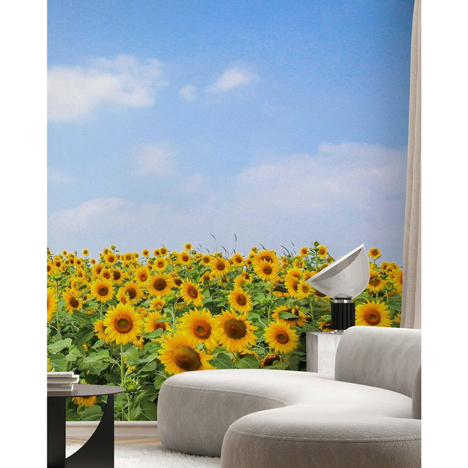 PHOTOWALL / Soft Sunflowers (e40607)