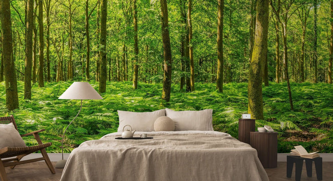 PHOTOWALL / Warming Green Forest (e315816)