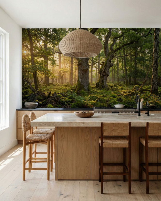 PHOTOWALL / Beautiful Forest (e315909)