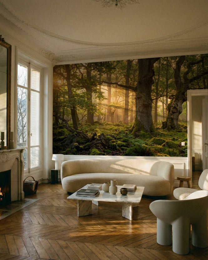 PHOTOWALL / Beautiful Forest (e315909)