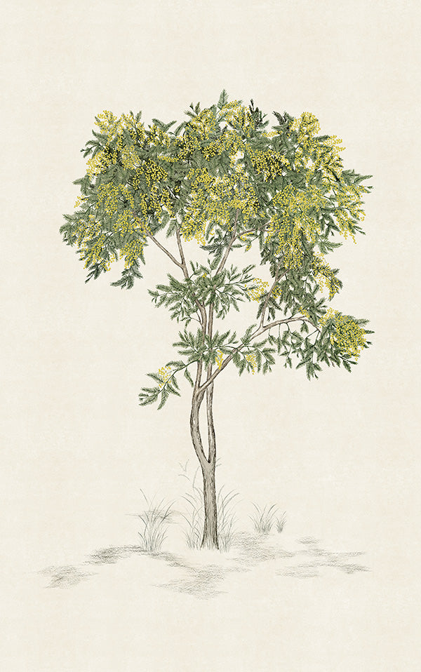 Isidore Leroy / ARBUSTES Naturel Mimosa 6248302【3パネル1セット】