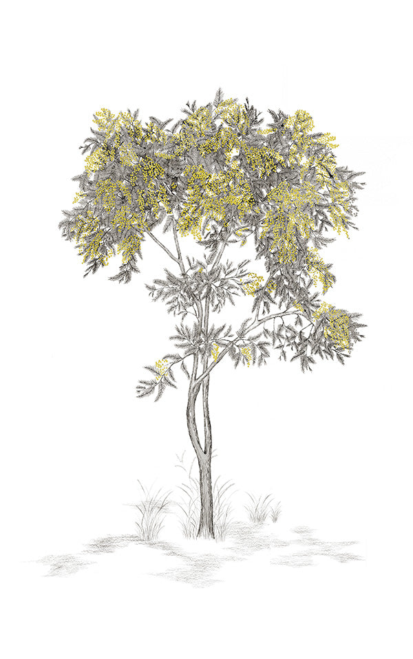 Isidore Leroy / ARBUSTES Gris Mimosa 6248312【3パネル1セット】