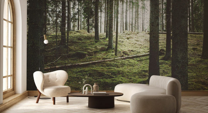 PHOTOWALL / Beautiful Woods Forest (e318024)