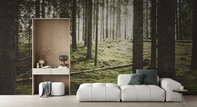 PHOTOWALL / Beautiful Woods Forest (e318024)