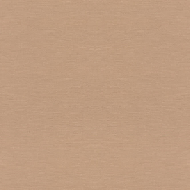 rasch ラッシュ / 687576 (Tropical House / Rhapsody)