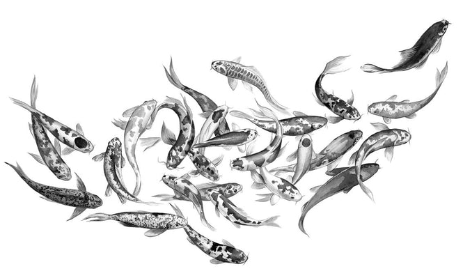 PHOTOWALL / Koi Fishes (e329995)
