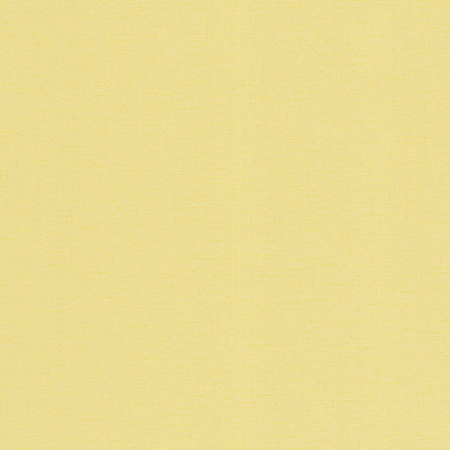 【A4サンプル】Marburg (マルブルグ) / Fresh UP / 82491