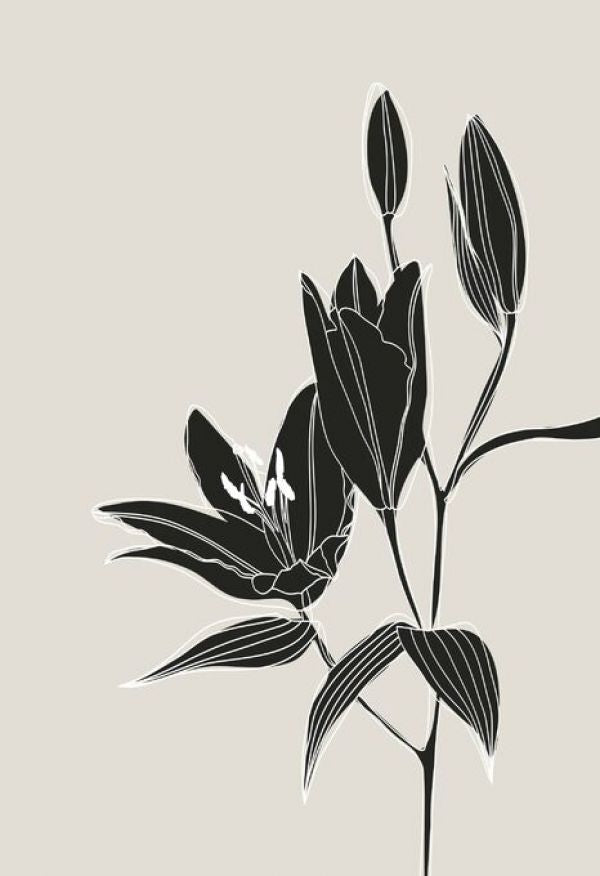 PHOTOWALL / Line Art Lilies in Black (e92940)