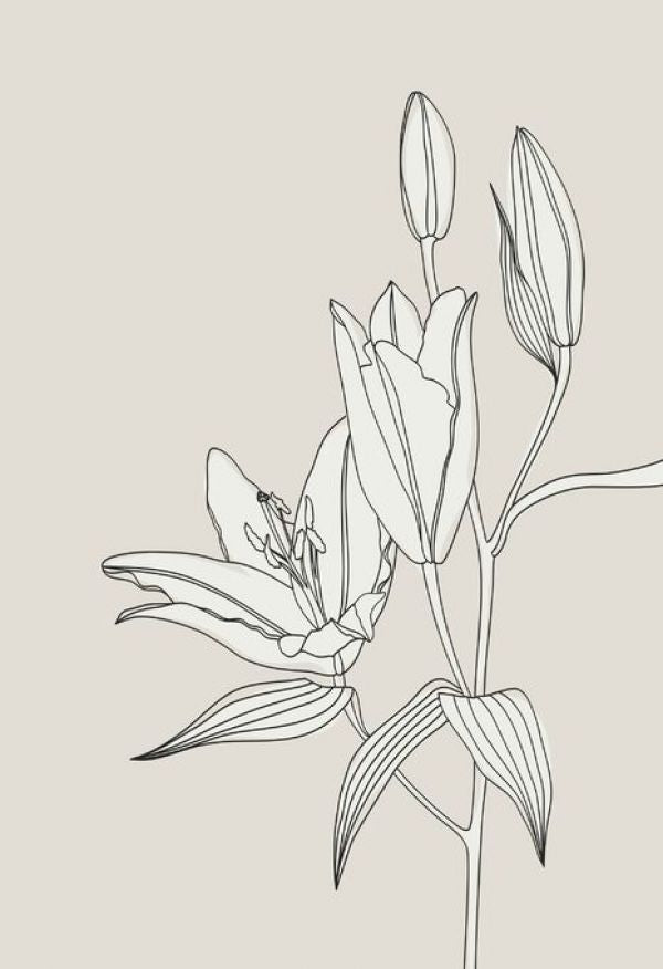 PHOTOWALL / Line Art Lilies in White (e92941)