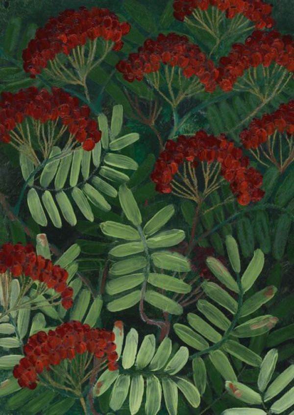 PHOTOWALL / Rowann Berries (e92950)