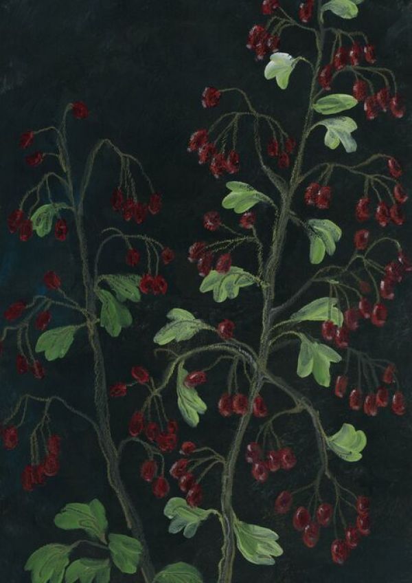 PHOTOWALL / Theiam Hawthorn (e92954)