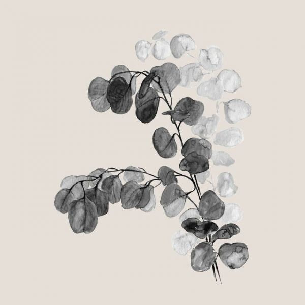 PHOTOWALL / Watercolor Silver Dollar Eucalyptus in Grey (e92957)