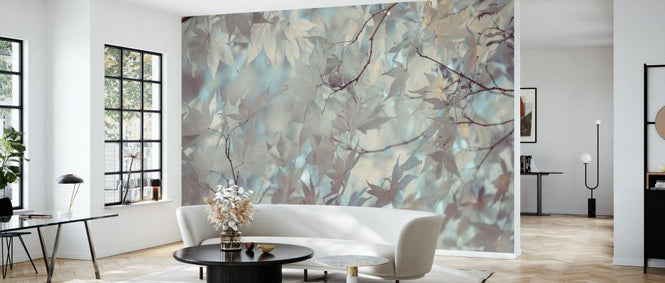 PHOTOWALL / Autumn Coloured Leaves Backlit (e92964)