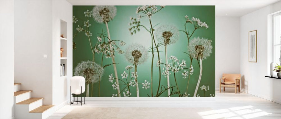 PHOTOWALL / Meadow Flowers (e92971)