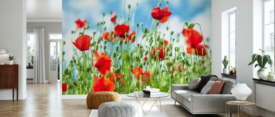 PHOTOWALL / Poppy Flowers Against Blue Skies (e92977)